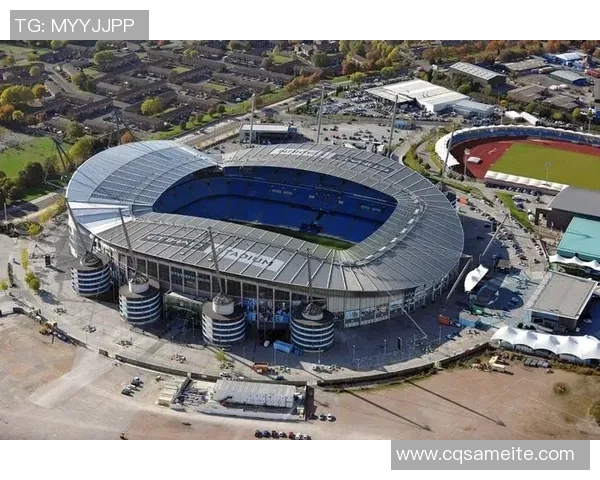 火柴人足球明星激情庆祝瞬间展现球场魅力与团队精神